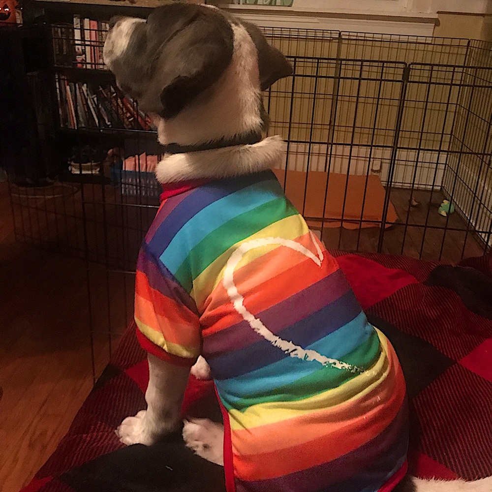 Rainbow Dog Pajamas